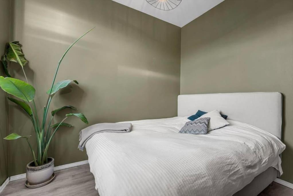 Newly Renovated - Oslo Downtown 아파트 외부 사진